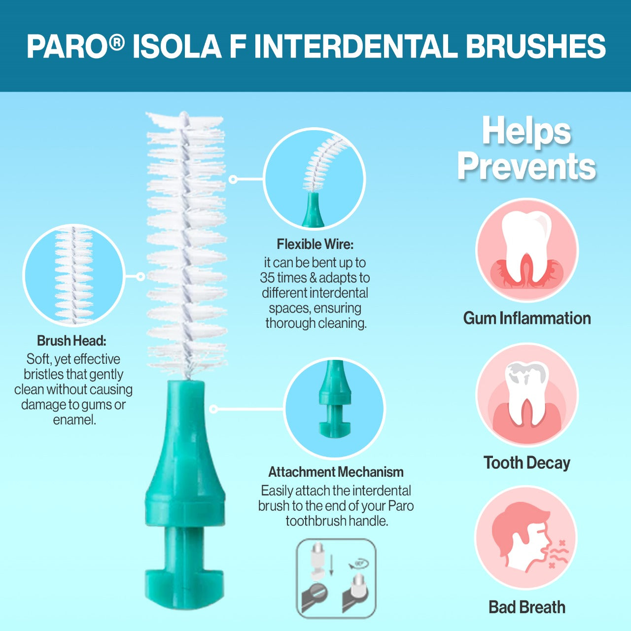1042 paro® isola F - medium, green, cylindrical 5 Pieces Each Box