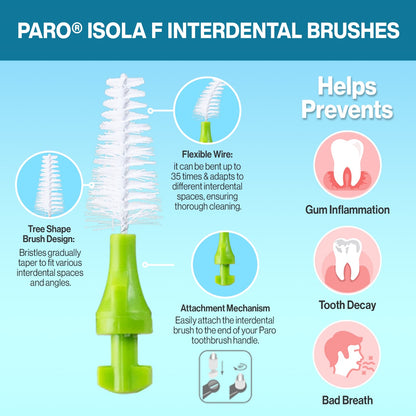 1046 paro® isola F medium, light-green, conical 5 Pieces Each Box